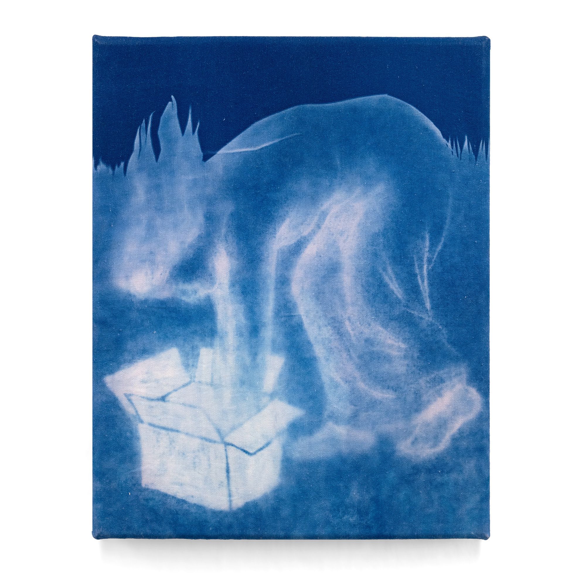 Cyanotype