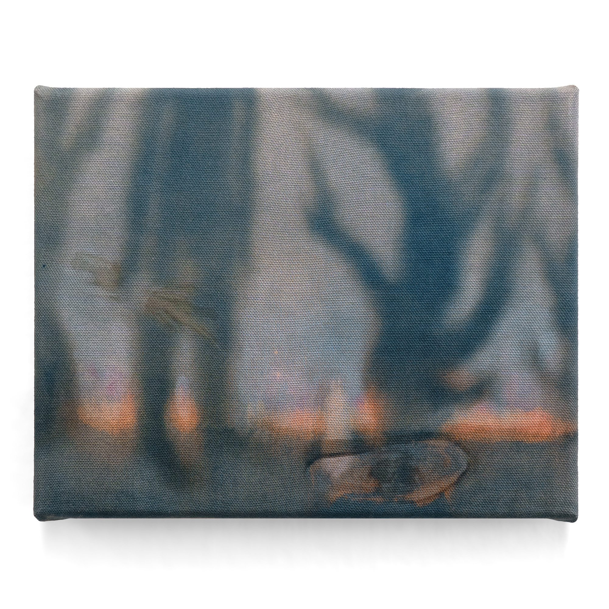 Cyanotype